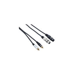 BESPECO EAY2F2R300 CAVO 2 CANNON XLR FEMMINA/ 2 RCA LUNGHEZZA 3 MT EAY2F2R-300 