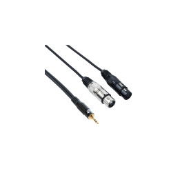 BESPECO AYMS2FX500 CAVO 2 XLR FEMMINA/ MINI JACK TRS 3,5 5 MT 