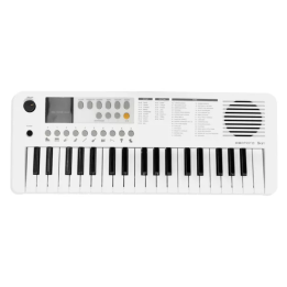 ECHORD SK37 TASTIERA PIANOLA SCUOLA 37 TASTI MINI CON USB