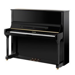 W. HOFFMANN MADE BY BECHSTEIN V-131 VISION PIANO PIANOFORTE VERTICALE ACUSTICO V131
